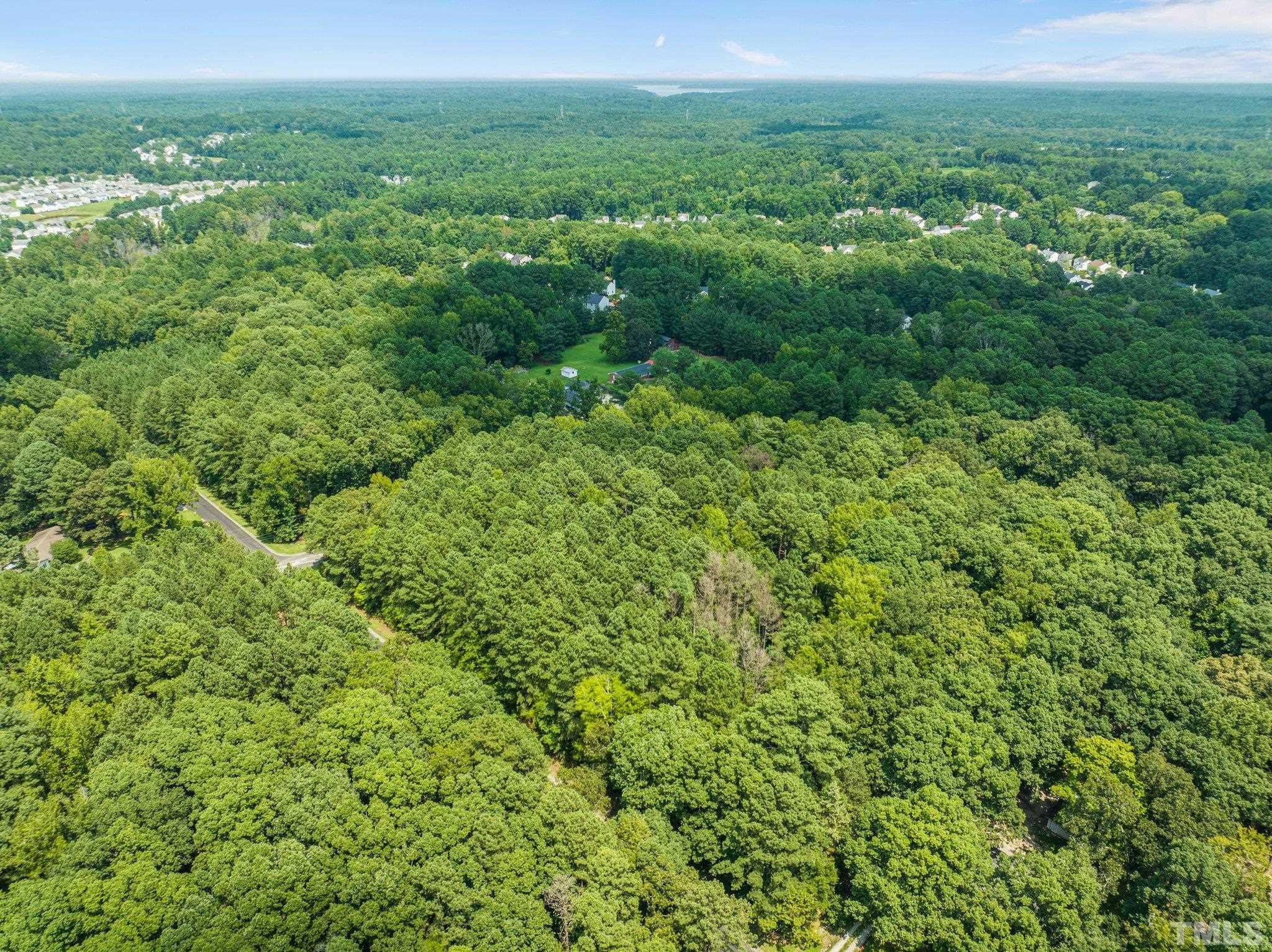 3801 Daniel Durham, NC 27703 - Photo 10 of 20 a view of a lush green forest with trees and some houses