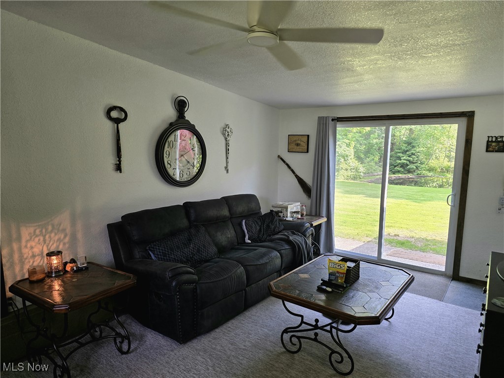 4243 Burkey Road Youngstown, OH 44515 - Photo 20 of 34 2nd Family room with Sliding glass doors to enjoy the view