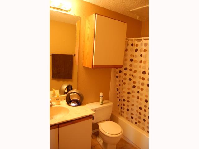 2804 Rio Grande Street, Unit 307 Austin, TX 78705 - Photo 9 of 14 Bathroom featuring vanity, shower / tub combo with curtain, and a textured ceiling
