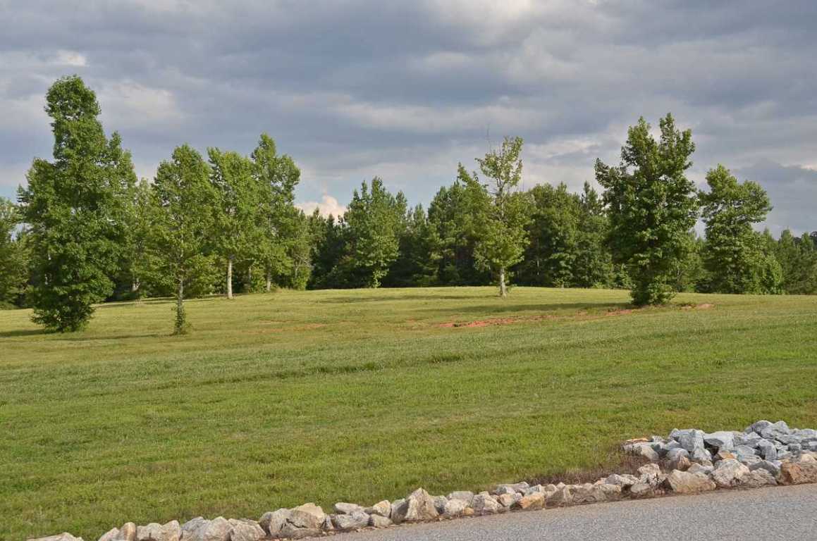 4651 Howe Road, Unit LOTS DE Landrum, SC 29356 - Photo 6 of 9