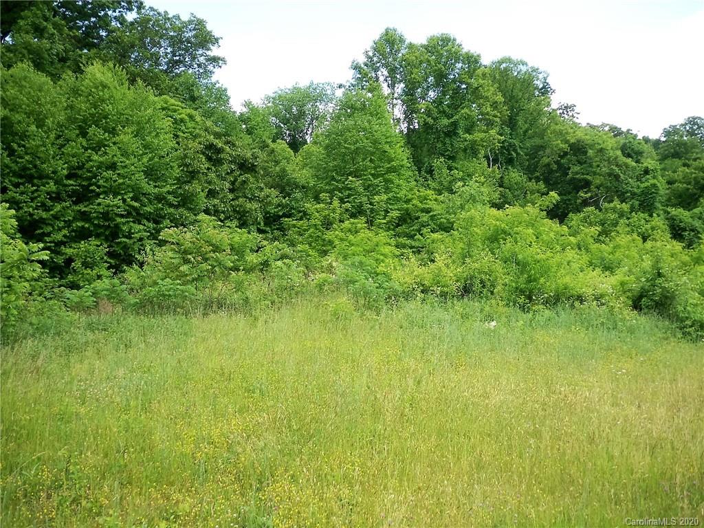 16 Hunters Ridge Road, Unit 16 Canton, NC 28716 - Photo 5 of 7
