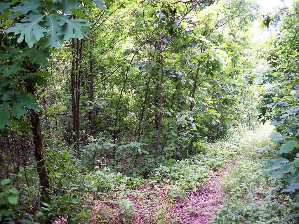 16 Hunters Ridge Road, Unit 16 Canton, NC 28716 - Photo 7 of 7