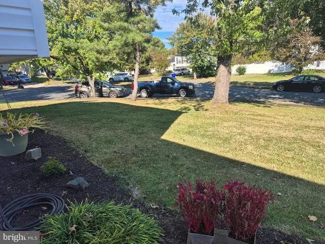 a view of a yard with large trees