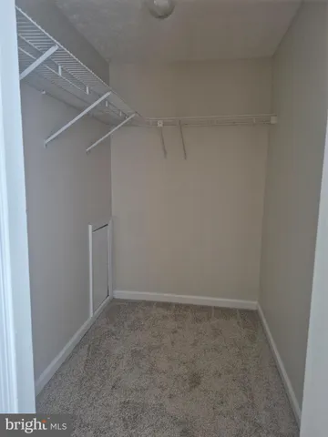 a close view of closet