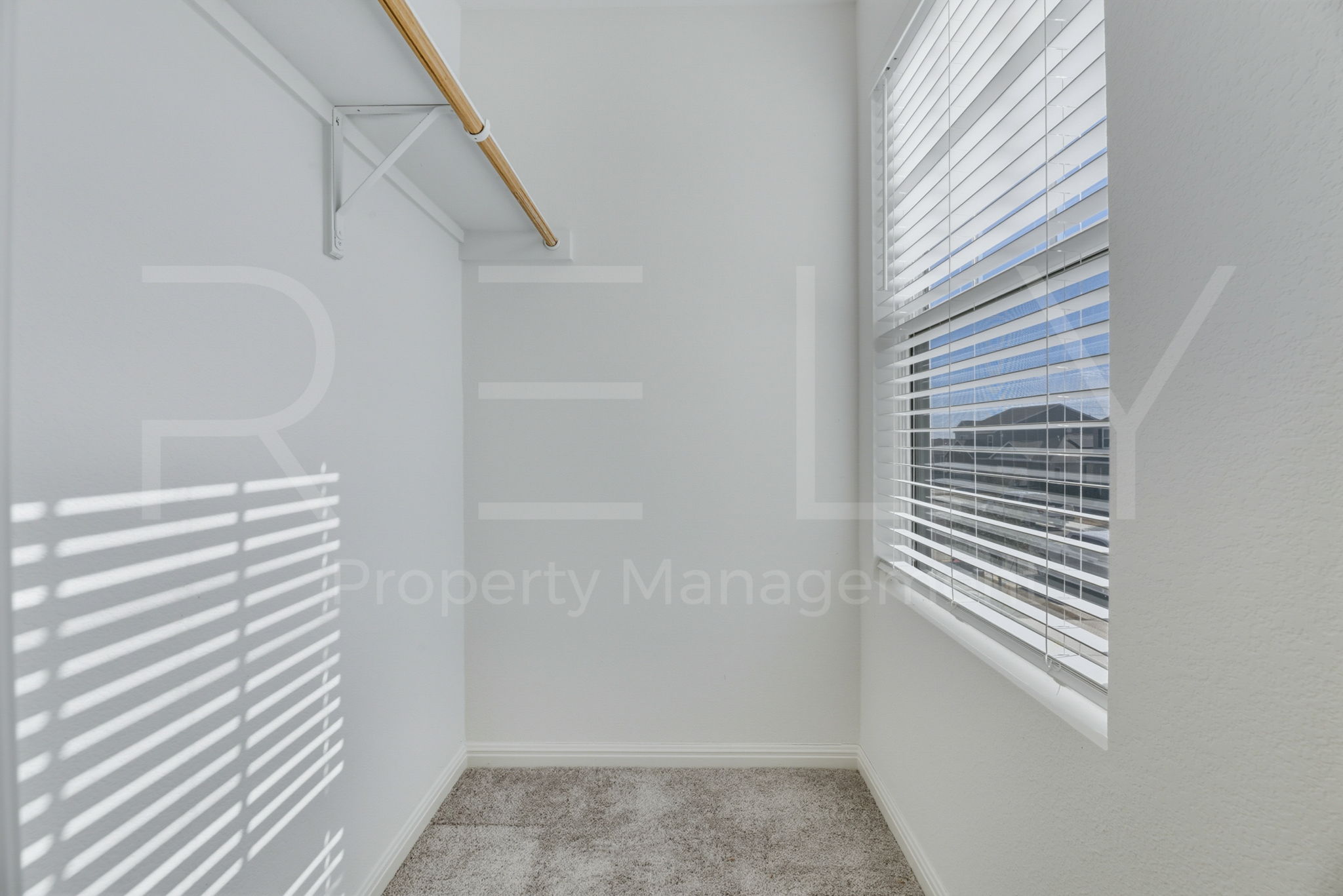 220 Wonderful Life Way Jarrell, TX 76537 - Photo 29 of 35 Walk in closet with light colored carpet