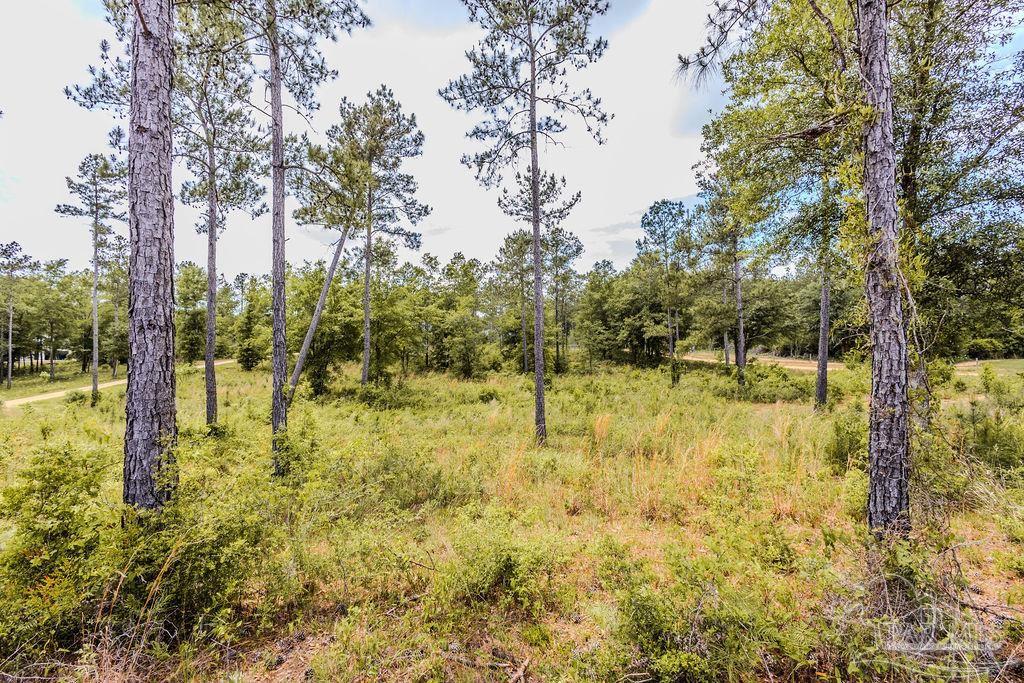 7435 Tidwell Road Pace, FL 32571 - Photo 1 of 6 Gallery Image 1
