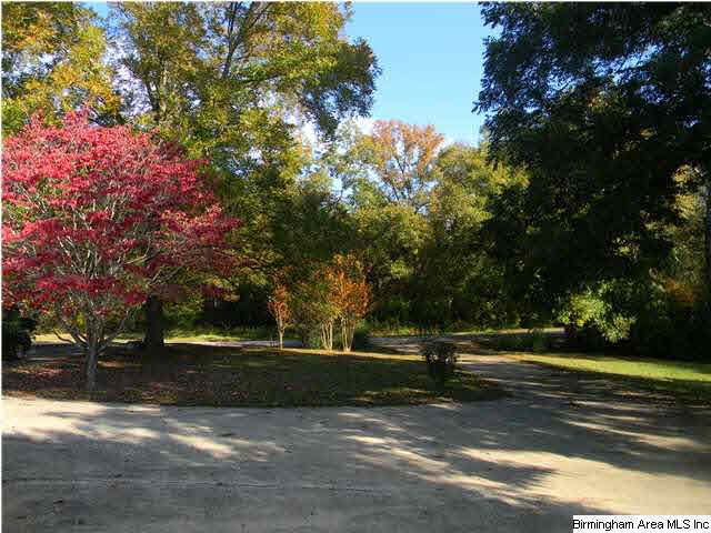 847 County Road 89 Clanton, AL 35046 - Photo 18 of 22