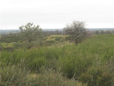 0 Crestview Valley Springs, CA 95252 - Photo 3 of 8 a view of a green field