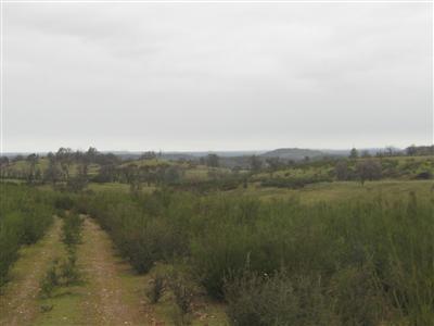 0 Crestview Valley Springs, CA 95252 - Photo 5 of 8 a view of lake with mountain