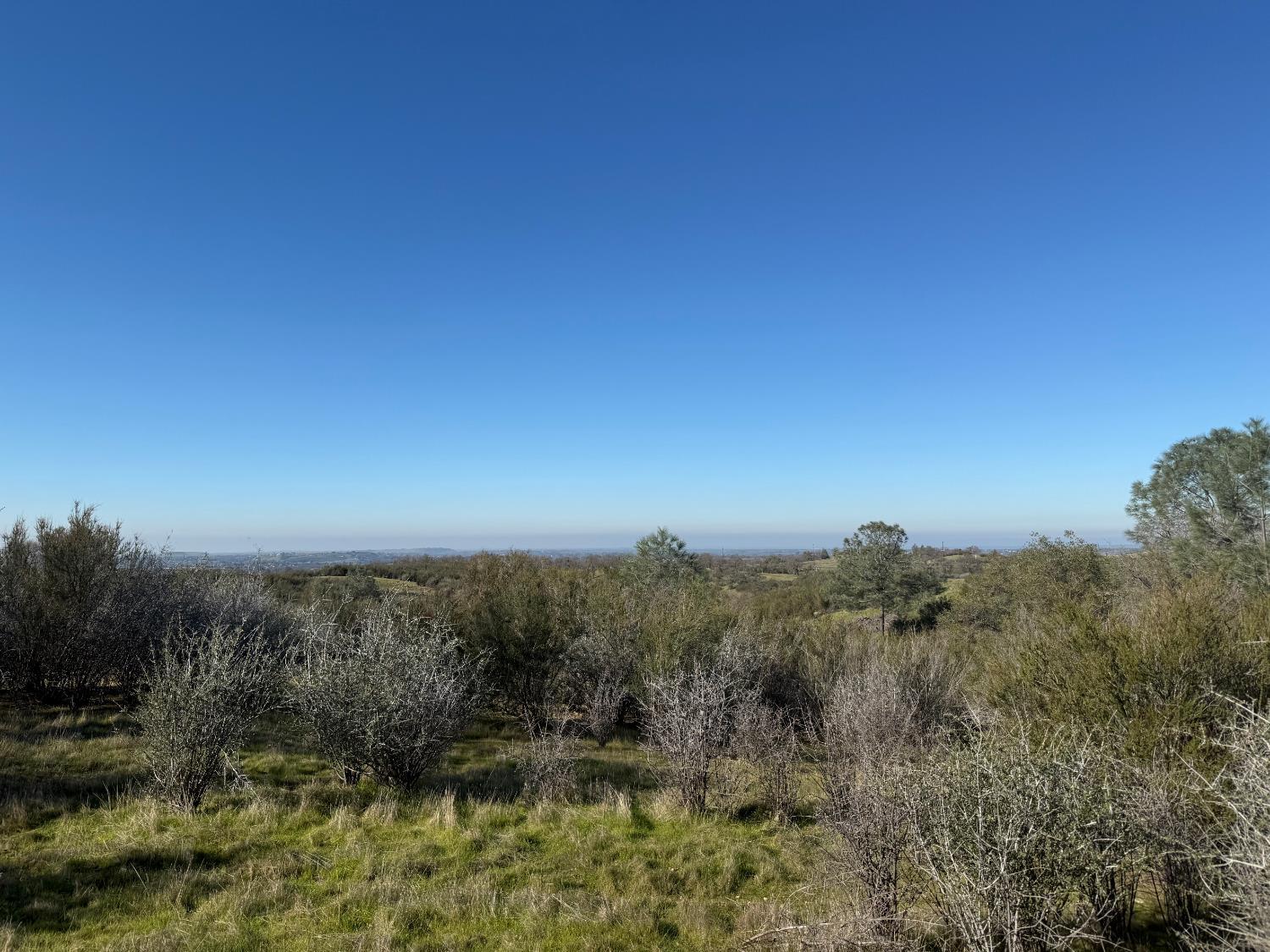 0 Crestview Valley Springs, CA 95252 - Photo 7 of 8 a view of a city with lush green forest