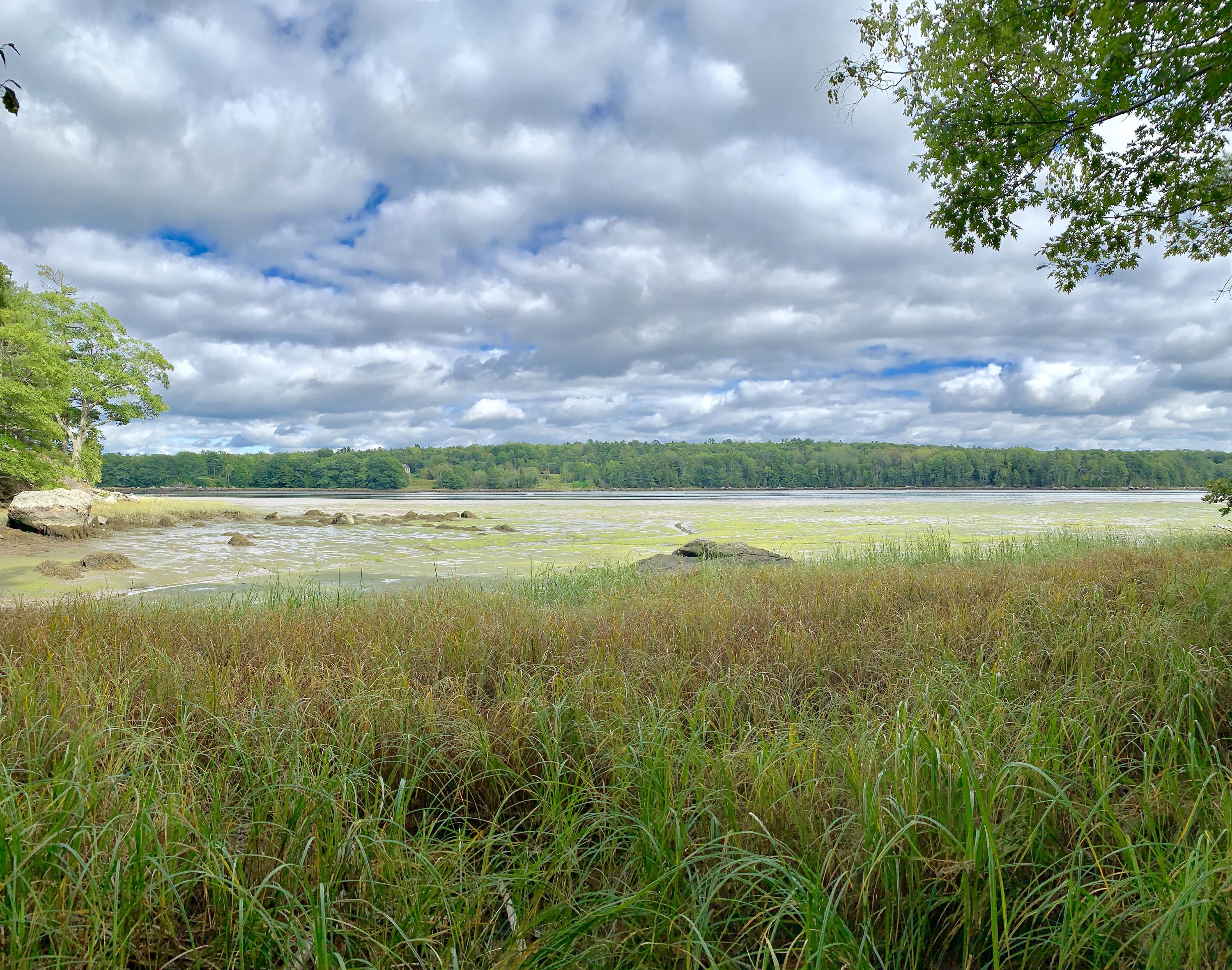 0 Leaches Point Road Orland, ME 04472 - Photo 12 of 23 20190912_190854880_iOS