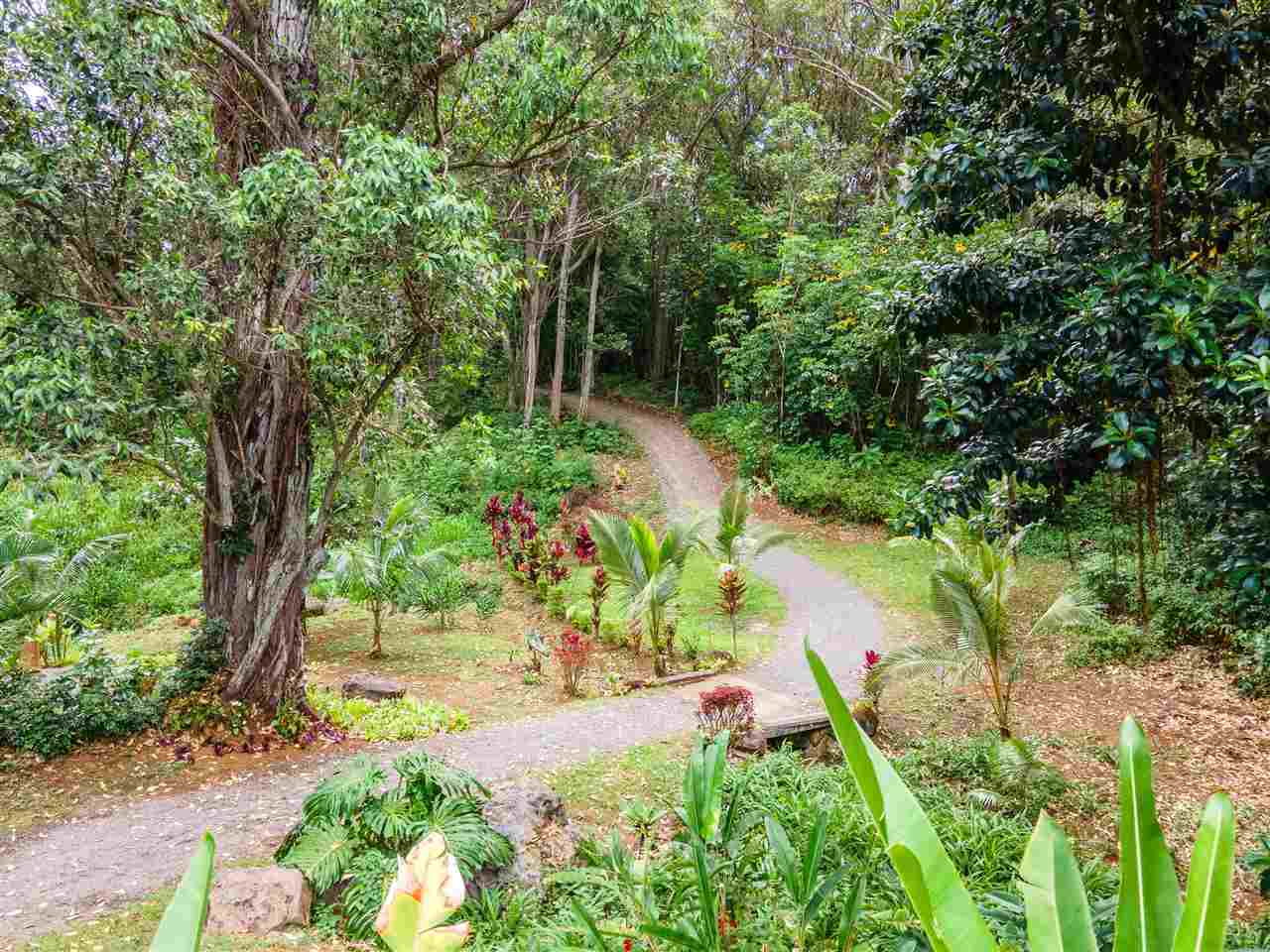 a view of yard with green space