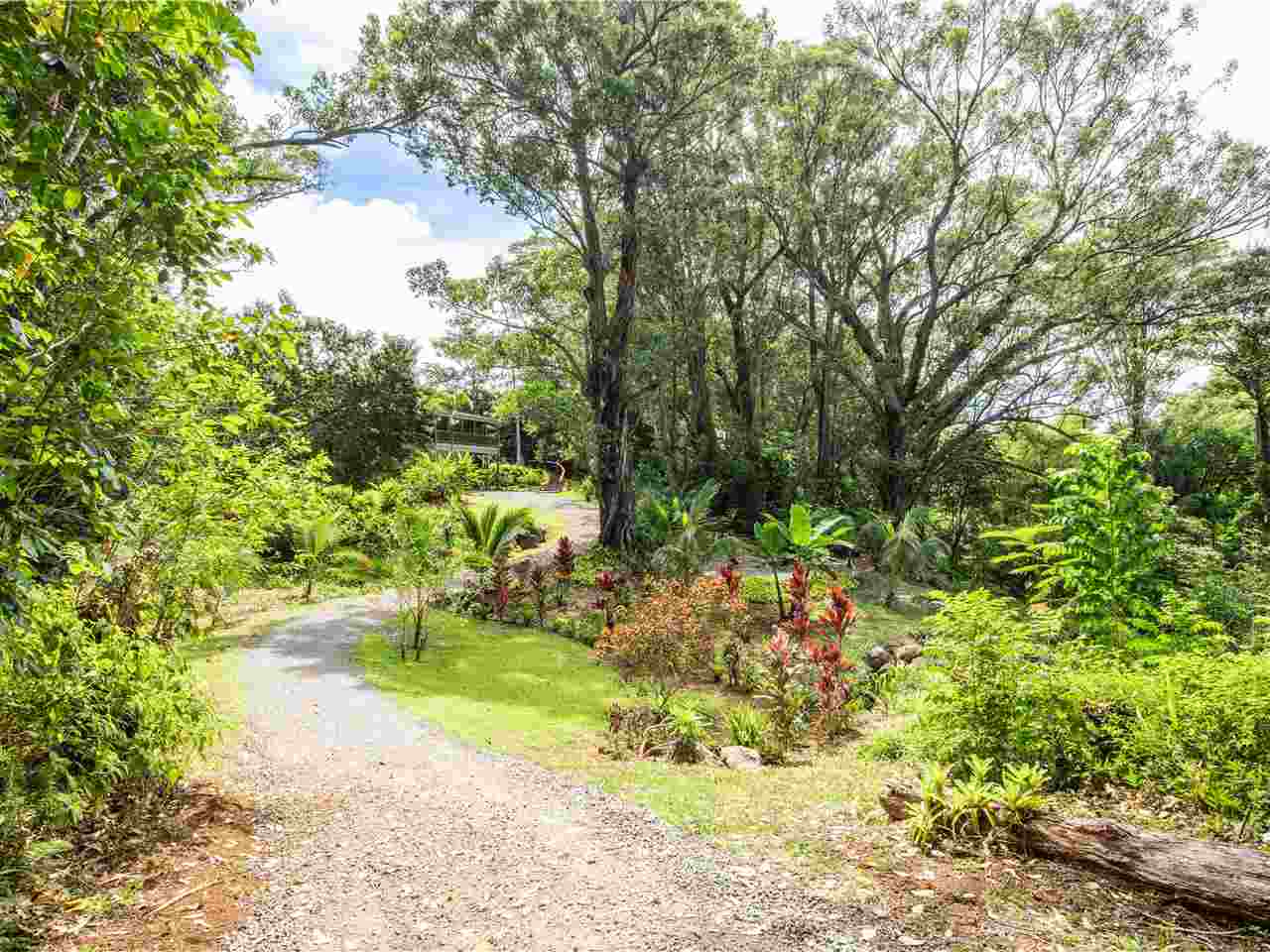 4508 Waha Place Haiku, HI 96708 - Photo 24 of 30 a view of yard