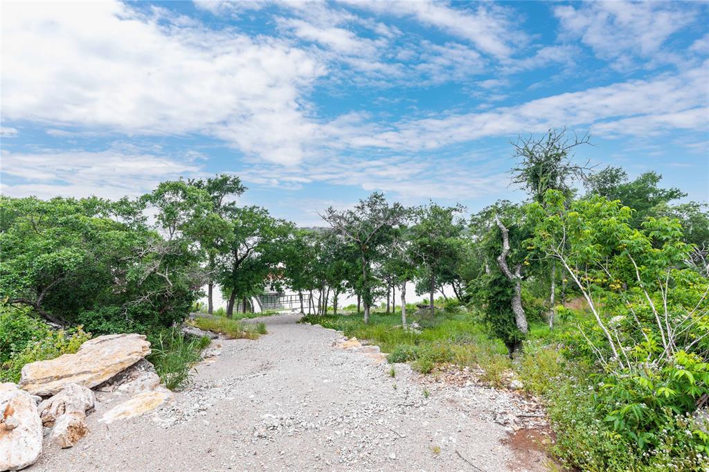 977 Deep Water Road May, TX 76857 - Photo 29 of 36 a view of a yard with plants and a large tree