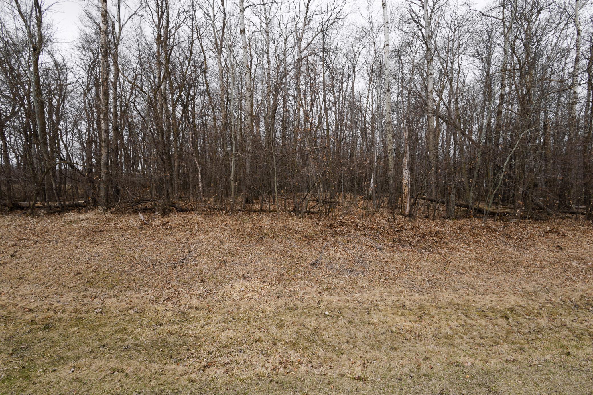 Lot 3 Sayler's Beach Road Lake Park, MN 56554 - Photo 2 of 10
