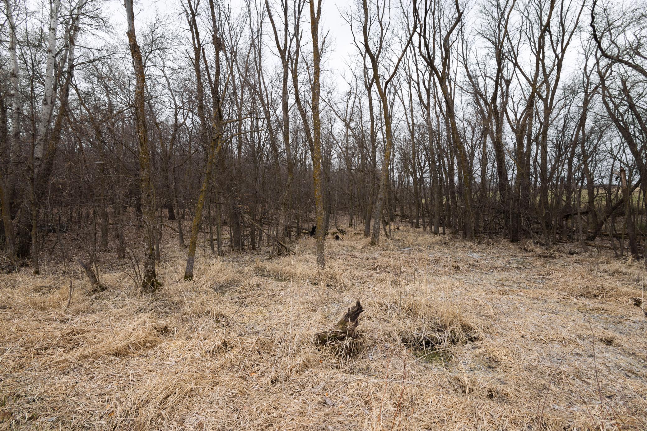 Lot 3 Sayler's Beach Road Lake Park, MN 56554 - Photo 4 of 10
