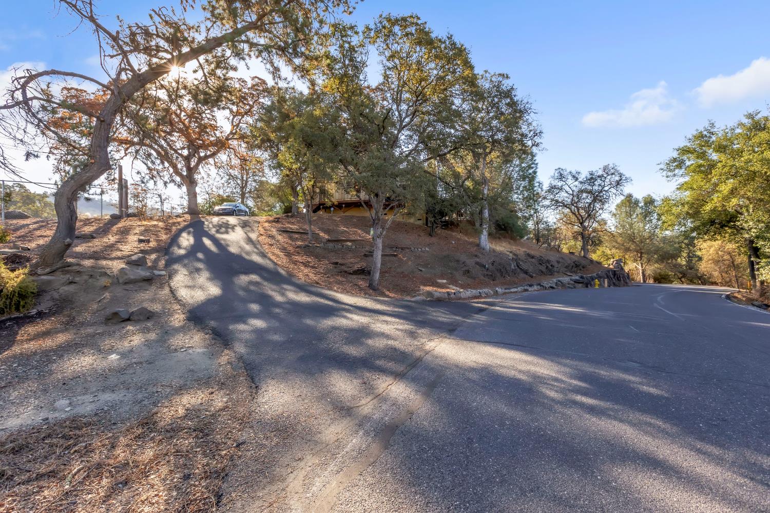 65 Poker Flat Road Copperopolis, CA 95228 - Photo 28 of 30 a view of a tree with a yard