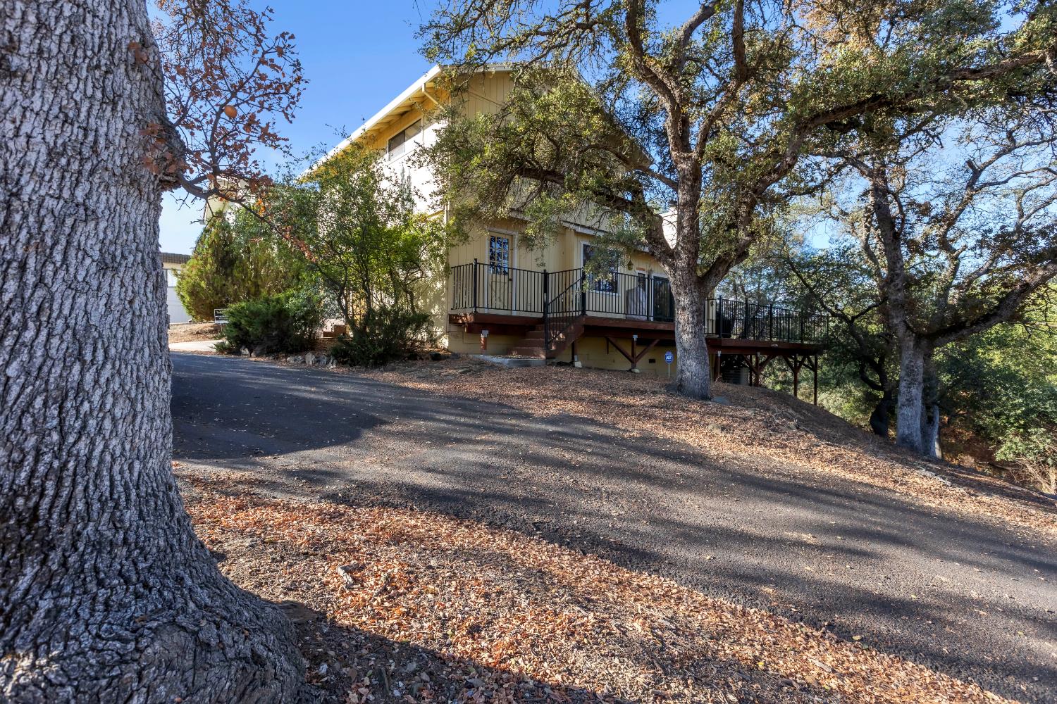 65 Poker Flat Road Copperopolis, CA 95228 - Photo 6 of 30 a view of a yard with large tree