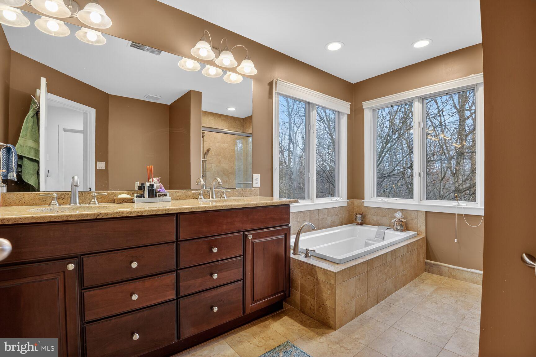11300 Water Pointe Circle Reston, VA 20194 - Photo 18 of 36 a bathroom with a tub double vanity sink and a large mirror