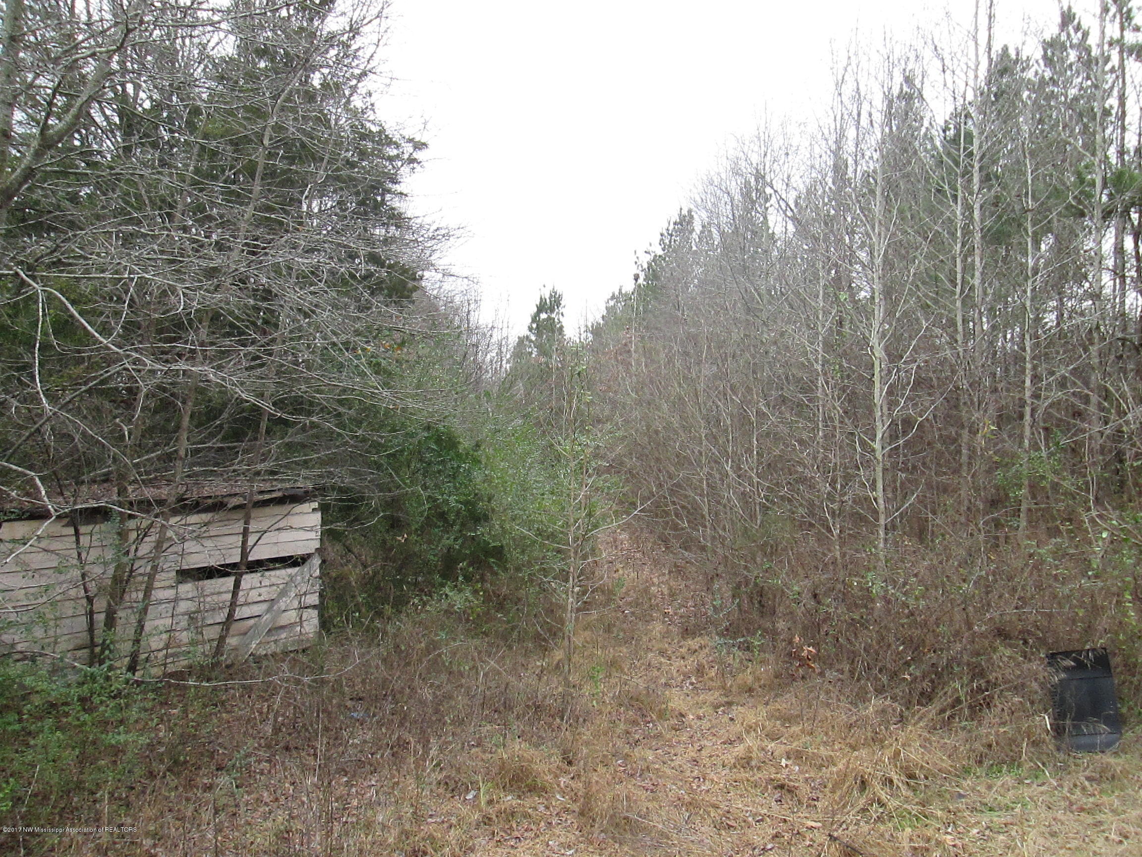 4 East Craft Road Hernando, MS 38632 - Photo 3 of 3 IMG_0083