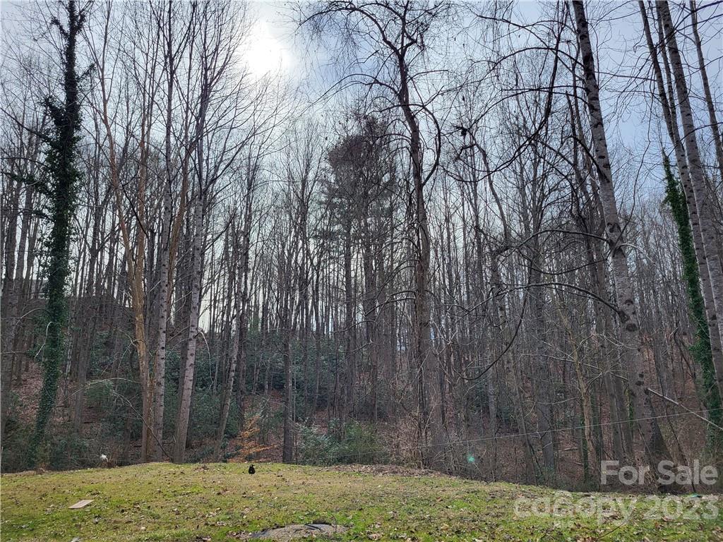 95 Rena Street Marion, NC 28752 - Photo 14 of 14 Gallery Image 14