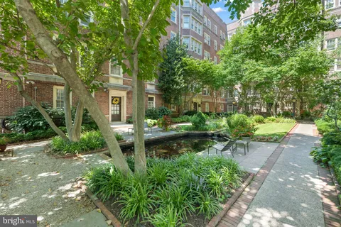 a view of backyard with a table and chairs and potted plants