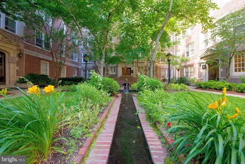 a view of a garden with pathway