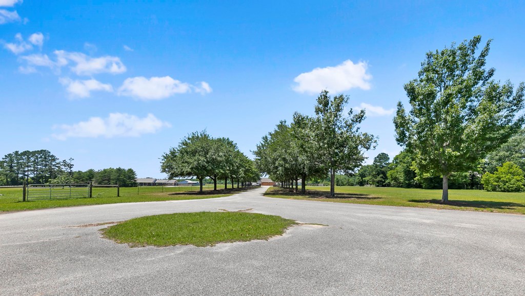 645 Windmill Road Newton, AL 36352 - Photo 85 of 123