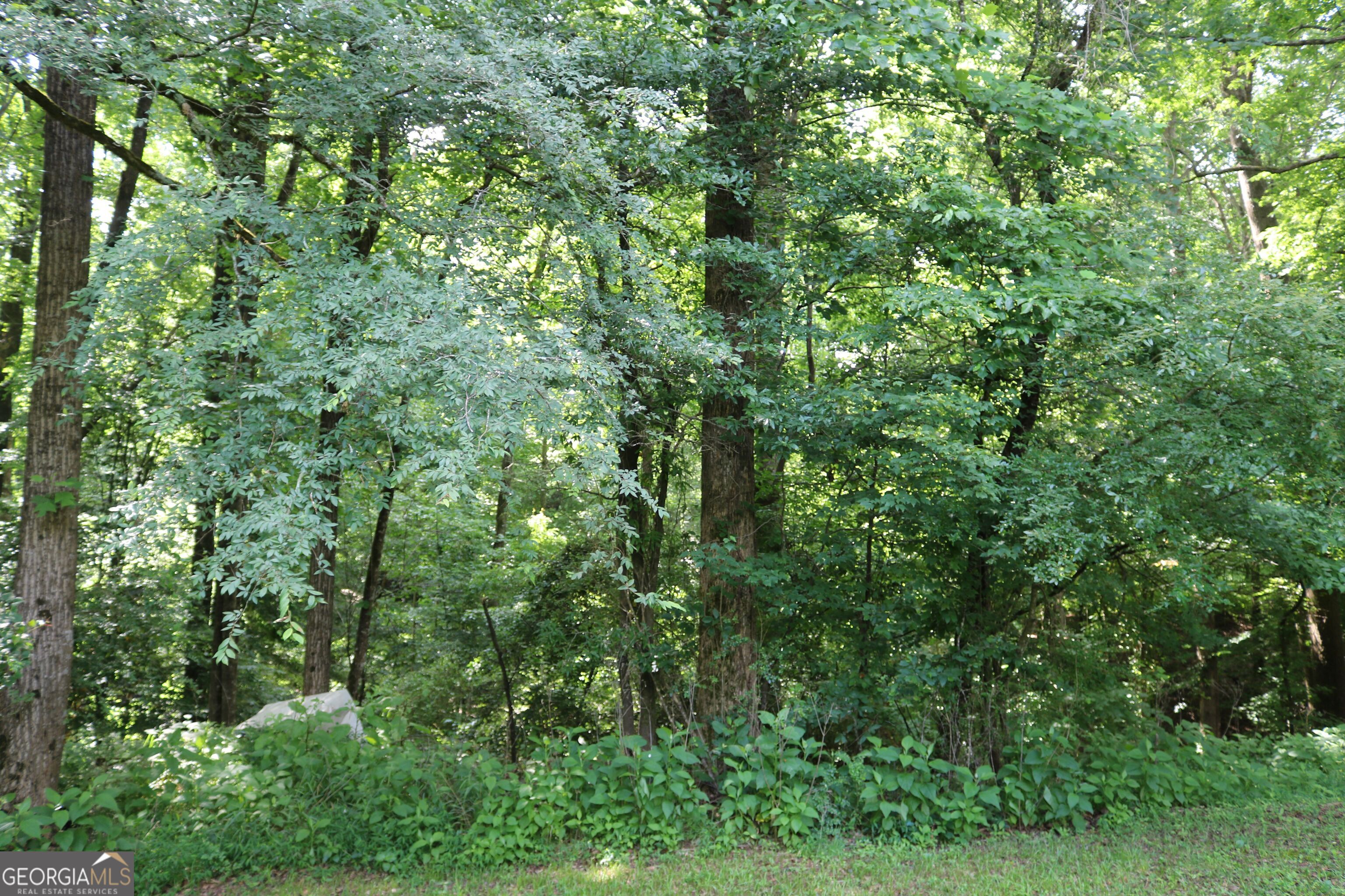0 Wire Bridge Road Arnoldsville, GA 30619 - Photo 1 of 1 Gallery Image 1