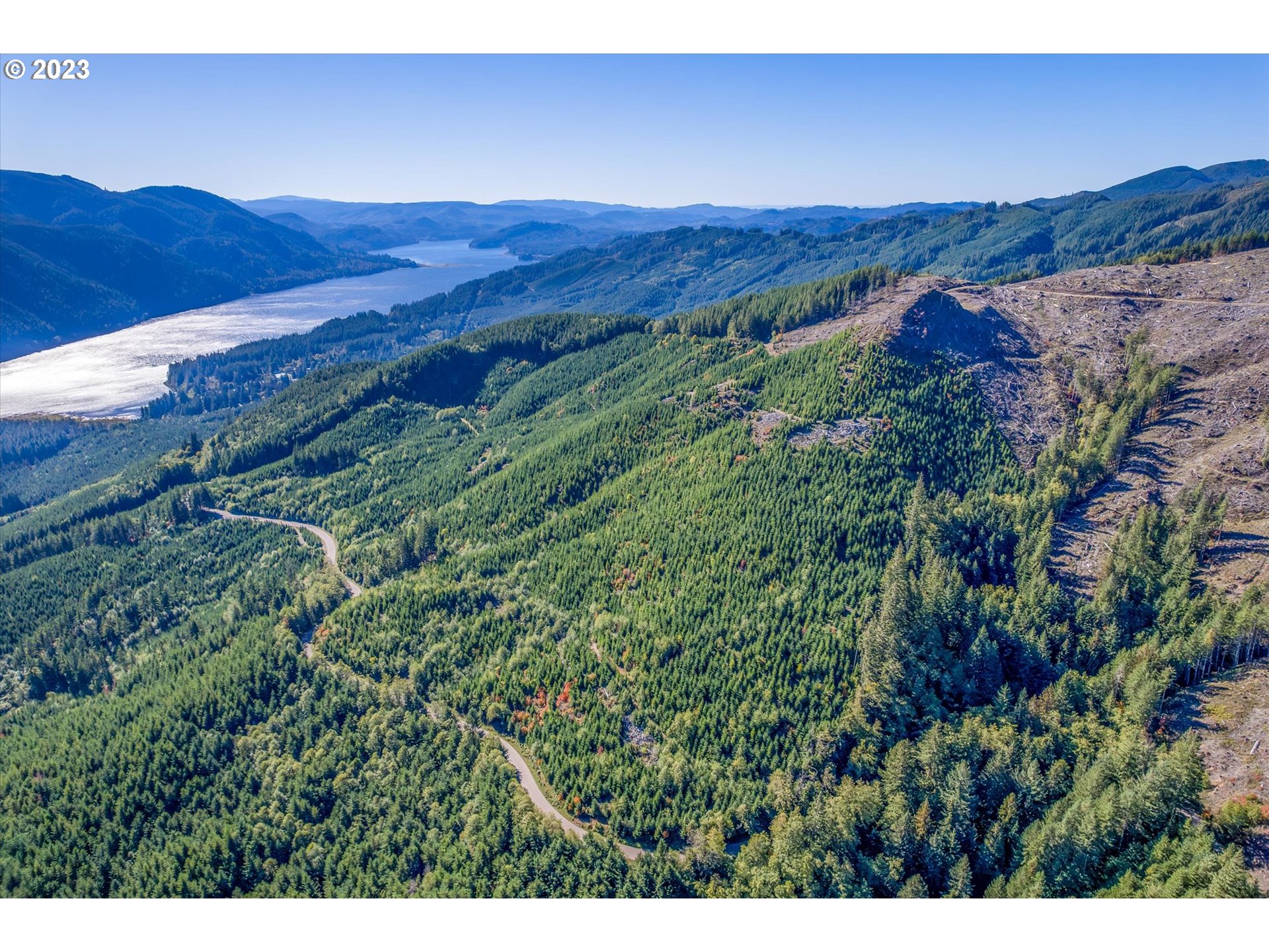 81 Rd Cougar Wa 98616