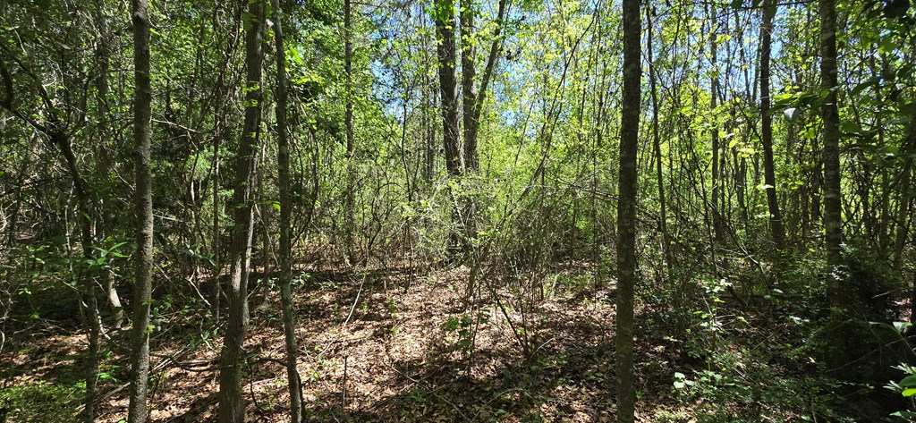 800 Grady Garner Road Slocomb, AL 36375 - Photo 22 of 49