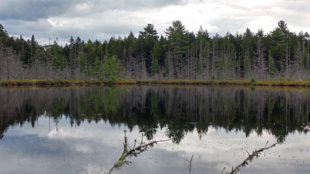 85 South Shore Road Island Falls, ME 04747 - Photo 20 of 22 Photo