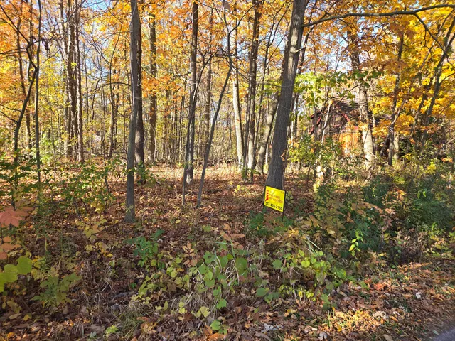 $21,500 | 9160 Kingsley Drive, Onsted, MI 49265