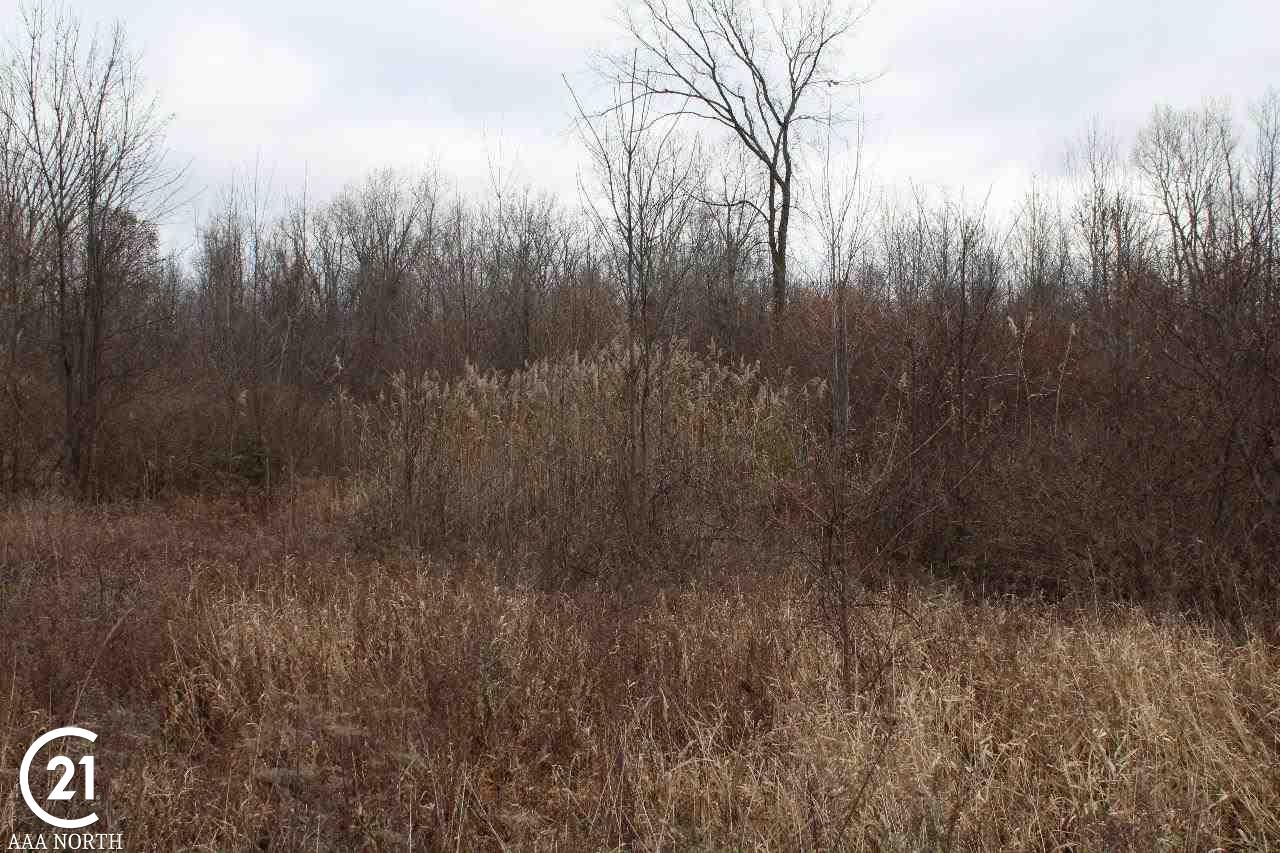 0 South Lake George Road Attica, MI 48412 - Photo 1 of 9