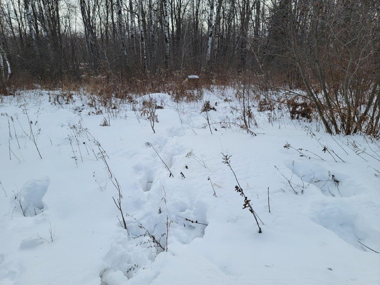 Off North Weirgor Road, Unit 5 ACRES Exeland, WI 54835 - Photo 5 of 10 Gallery Image 5