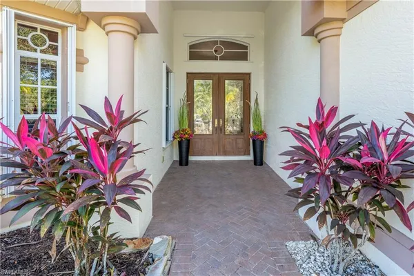 a potted plant sitting in front of a house