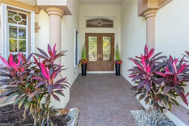 a potted plant sitting in front of a house