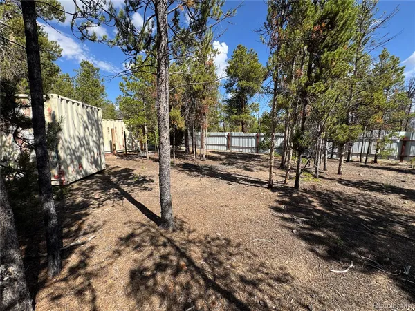 a view of a yard with trees