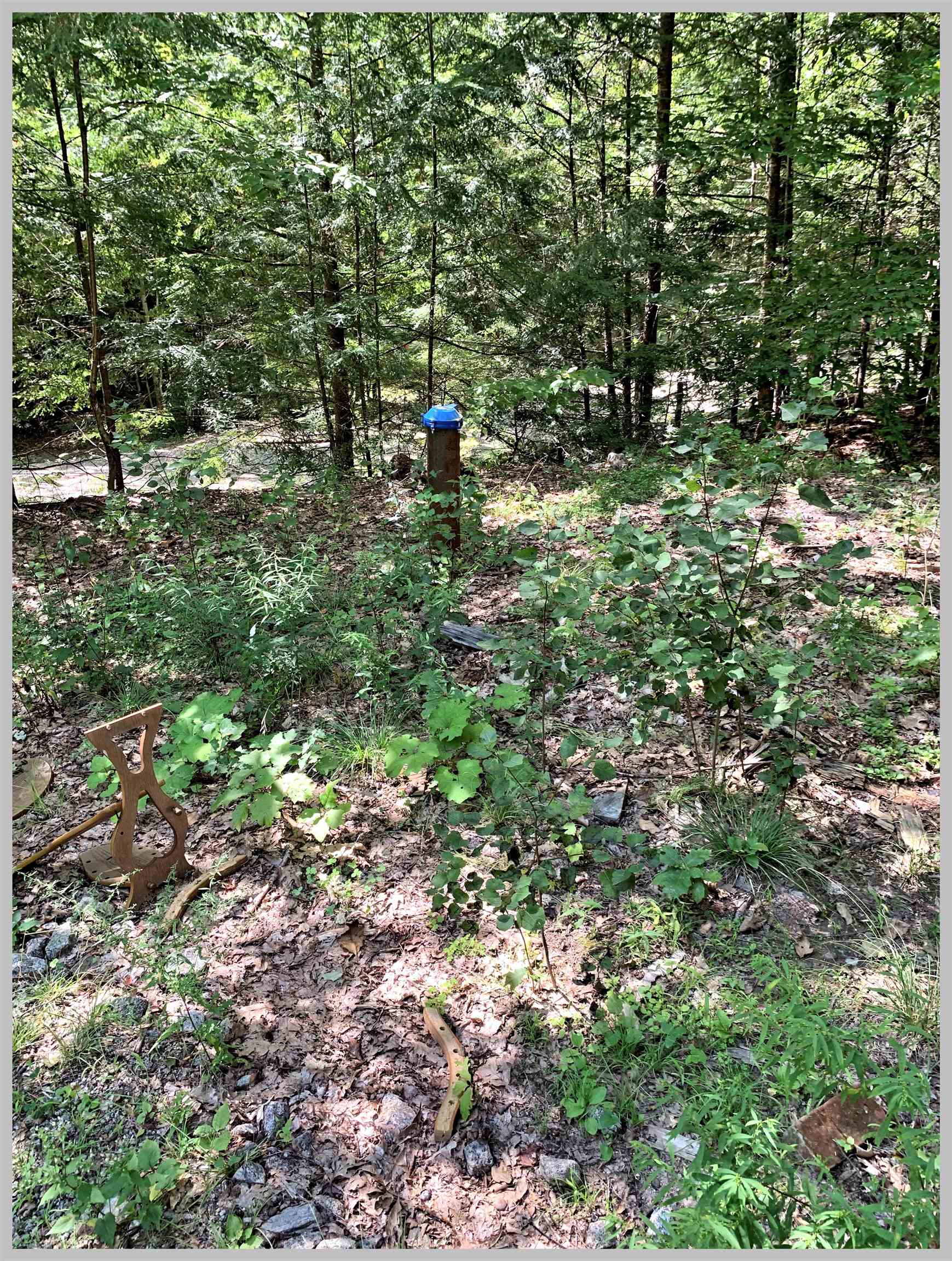 308 Loon Lake Road Plymouth, NH 03264 - Photo 10 of 21