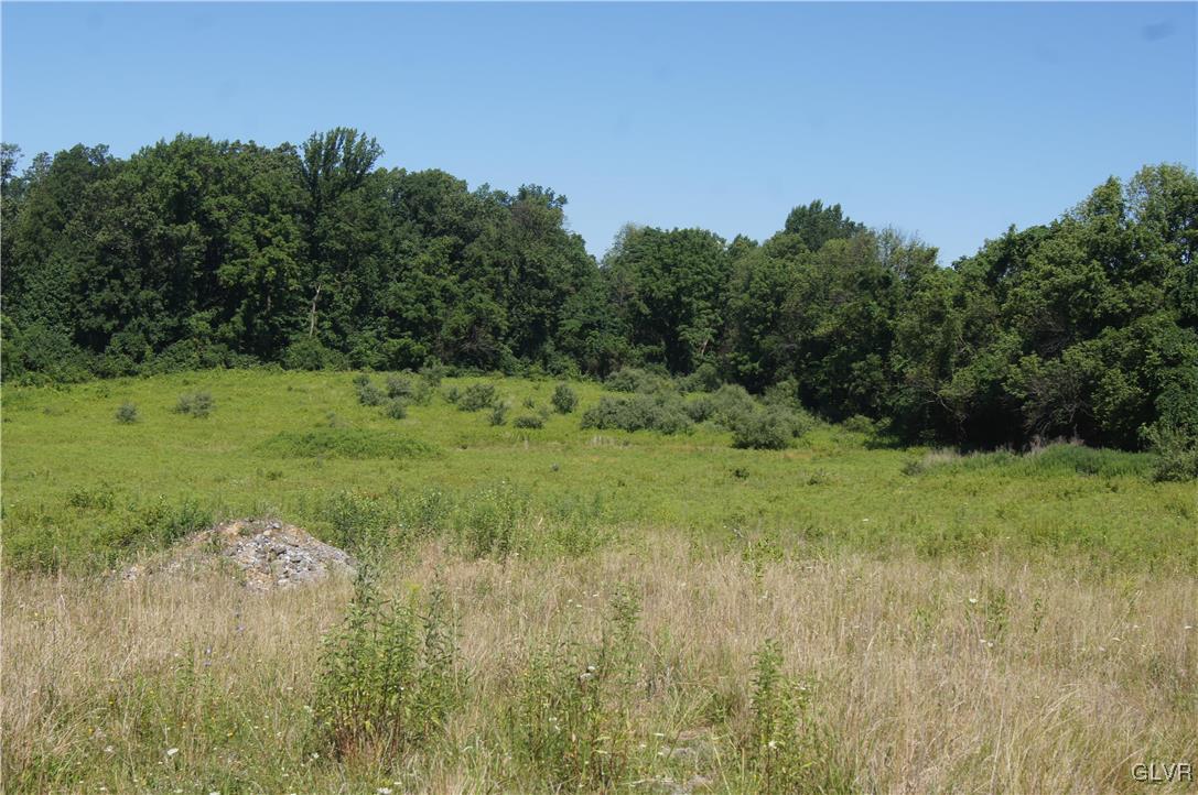 860 Texas Road Easton, PA 18042 - Photo 1 of 10 a view of a lush green space