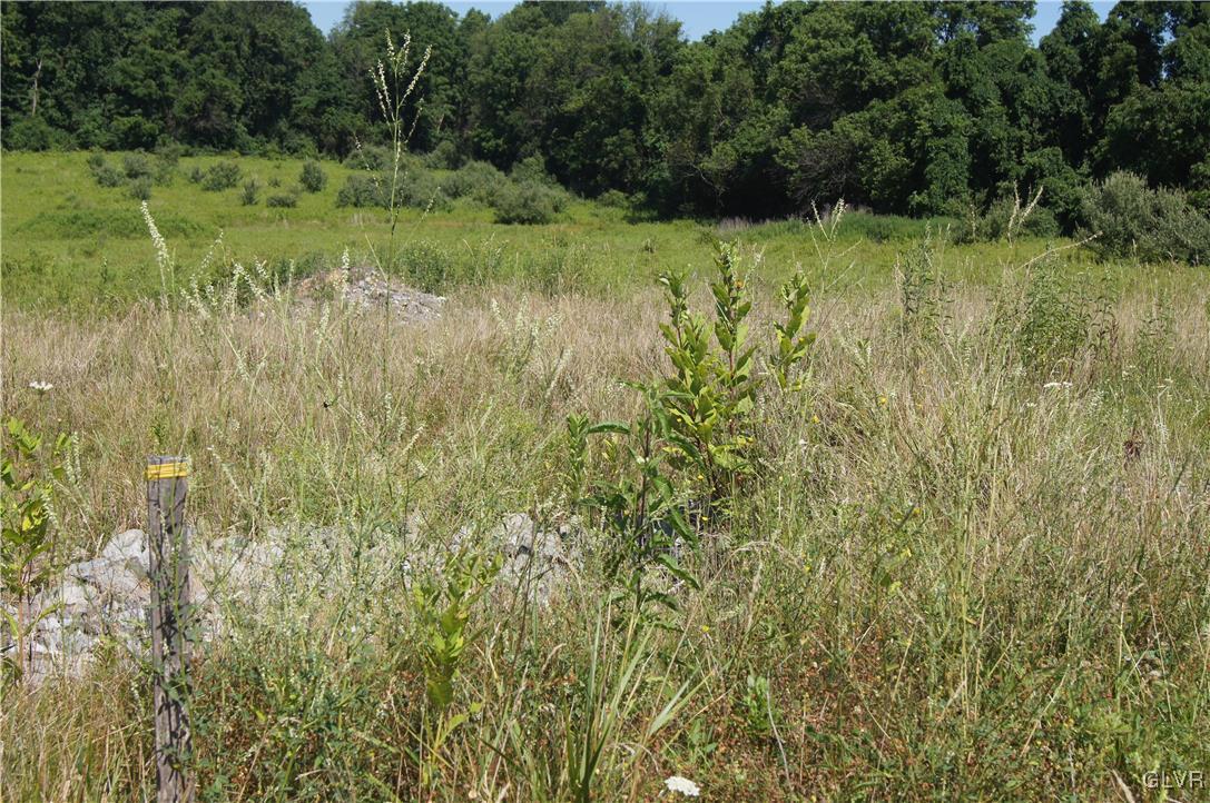 860 Texas Road Easton, PA 18042 - Photo 2 of 10 a view of a garden