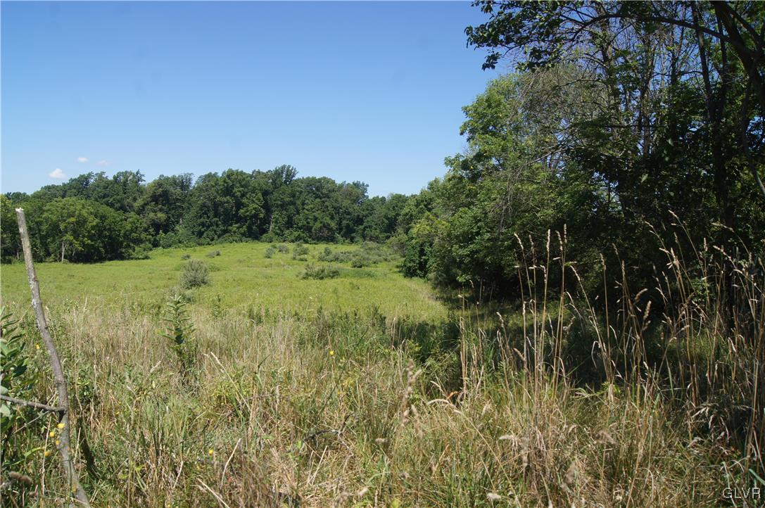 860 Texas Road Easton, PA 18042 - Photo 5 of 10 a view of a lush green space