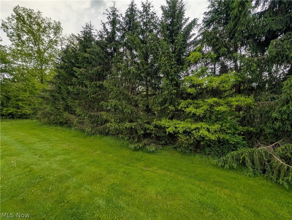 West Western Reserve Road Canfield, OH 44406 - Photo 12 of 15