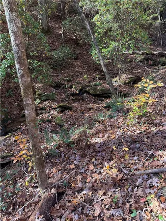 $395,000 | Tbd Alexander Road, West Union, SC 29696