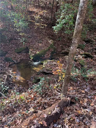 $395,000 | Tbd Alexander Road, West Union, SC 29696