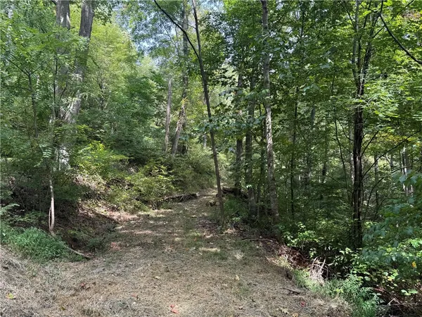 $395,000 | Tbd Alexander Road, West Union, SC 29696