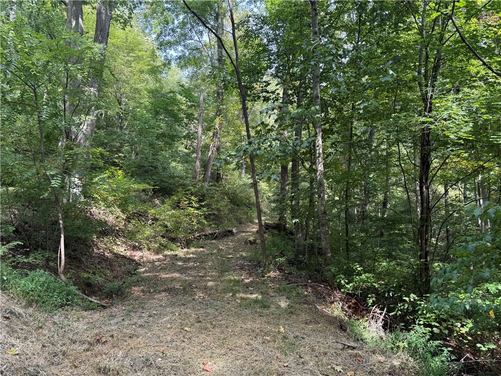 Tbd Alexander Road West Union, SC 29696 - Photo 26 of 42