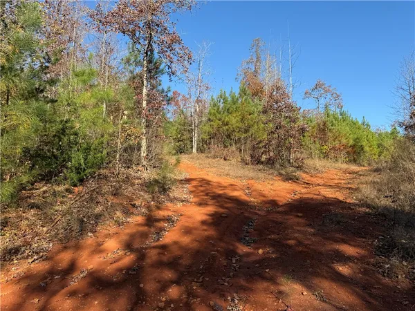 $395,000 | Tbd Alexander Road, West Union, SC 29696