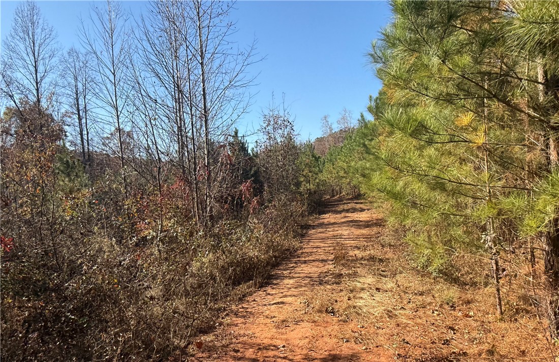 Tbd Alexander Road West Union, SC 29696 - Photo 30 of 42