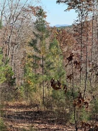 $395,000 | Tbd Alexander Road, West Union, SC 29696